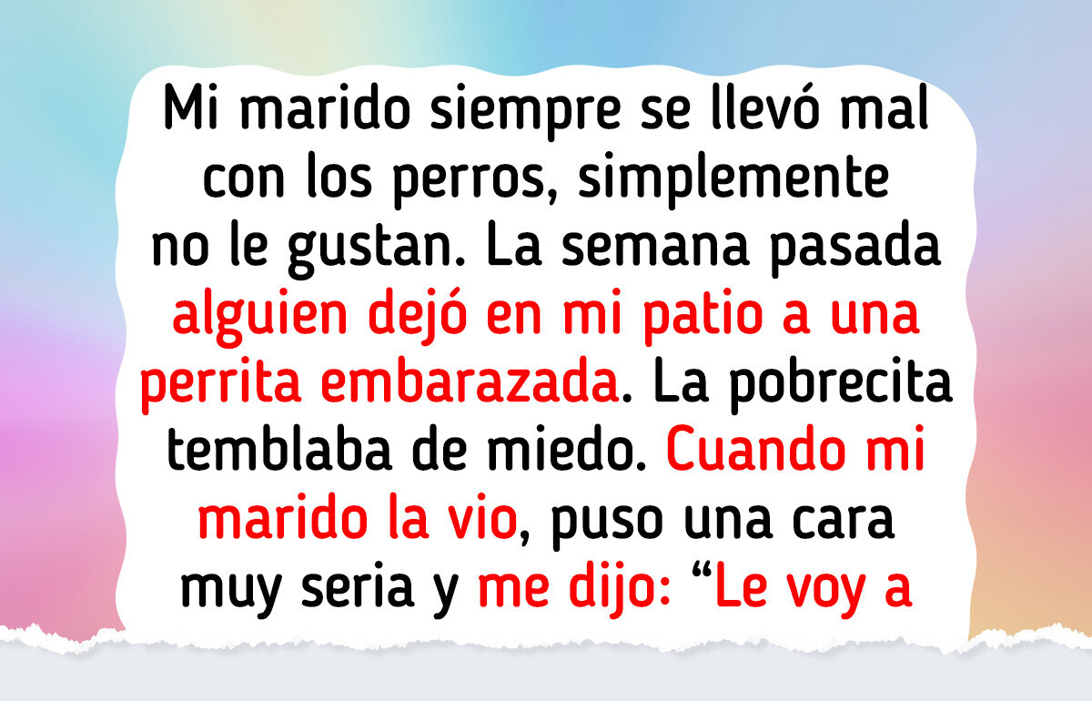 10 Pequeñas historias en las que la amabilidad le salvó el día a alguien (humano o animal)