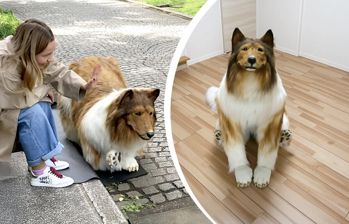 Dejó atrás su vida como humano para vivir como un perro... y lo logró