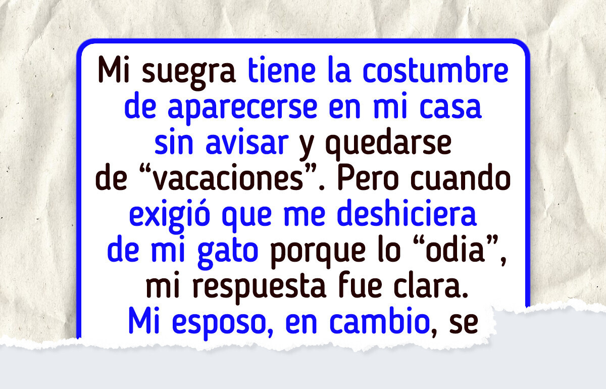Mi suegra me dio un ultimátum y su maleta está en la puerta: O se va tu gato, o yo Mi suegra me dio un ultimátum y su maleta está en la puerta: O se va tu gato, o yo