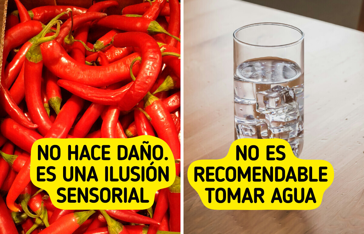 7 Datos del chile (y algunas recetas) que podrían hacerte pensar dos veces antes de decir “no pica” 7 Datos del chile (y algunas recetas) que podrían hacerte pensar dos veces antes de decir “no pica”
