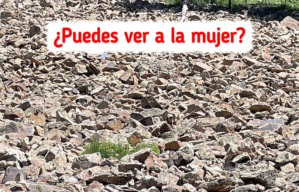 Pon a prueba tu agudeza visual con este desafío de 10 imágenes que pocos logran superar