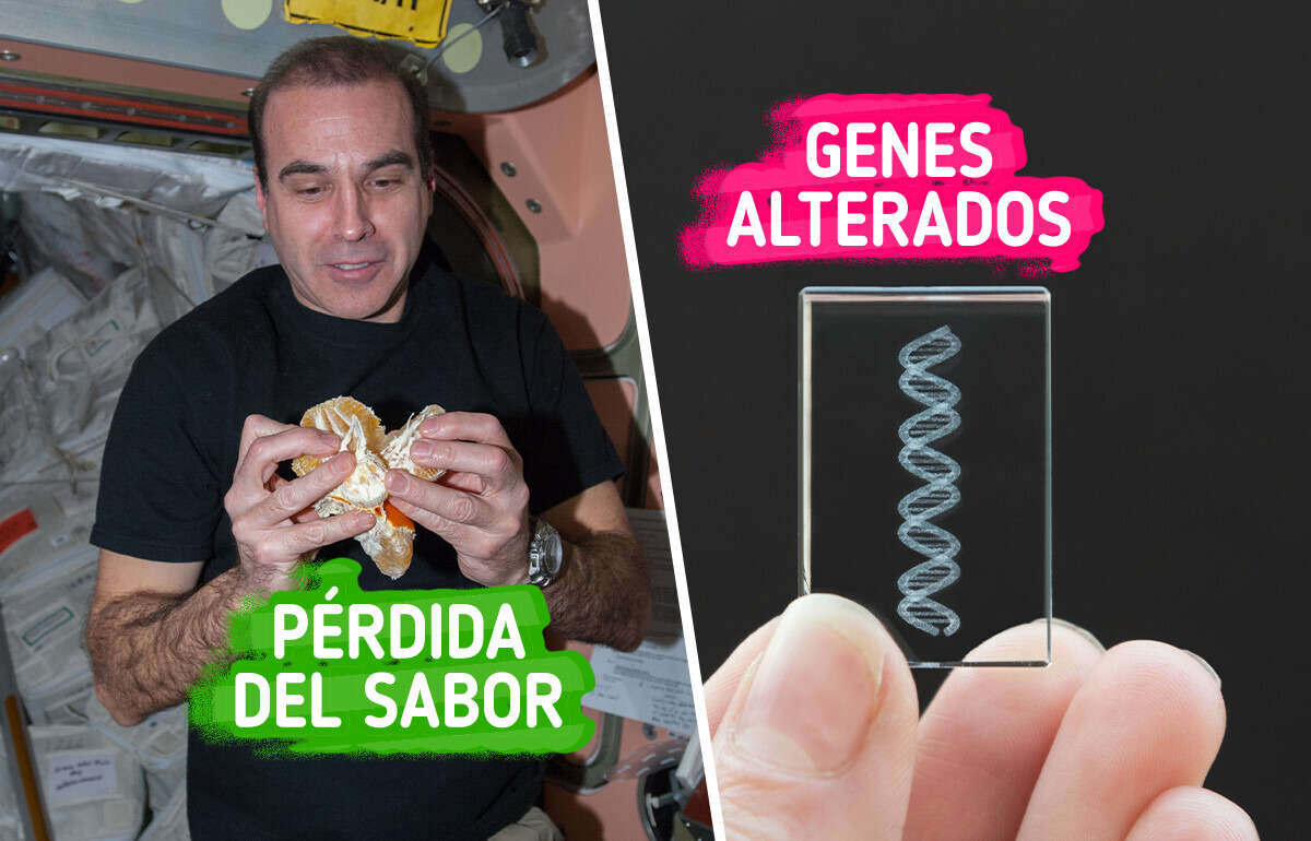 15 Reveladoras secuelas del viaje espacial que podrían parecer fuera de este mundo