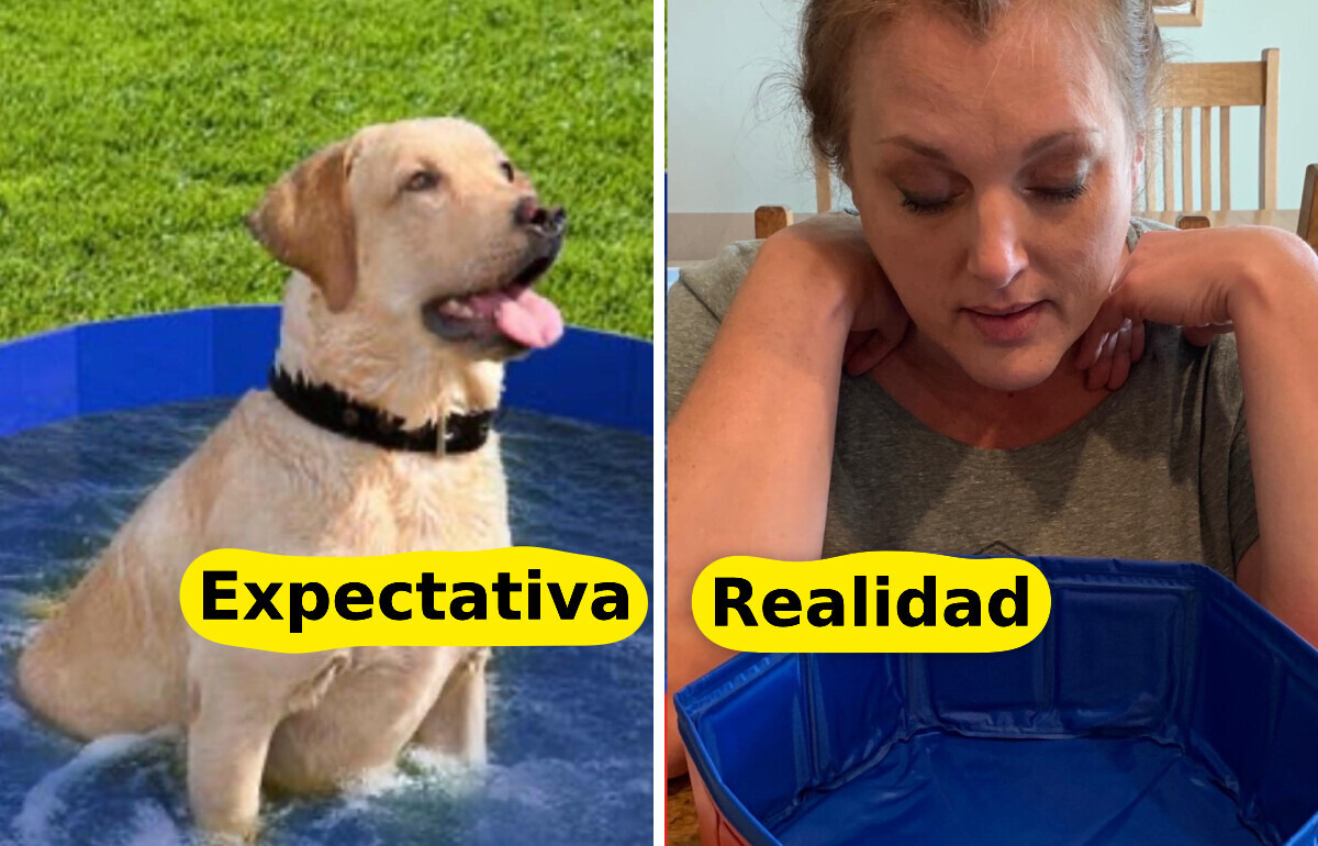 15+ Compradores que se sintieron profundamente engañados por sus pedidos