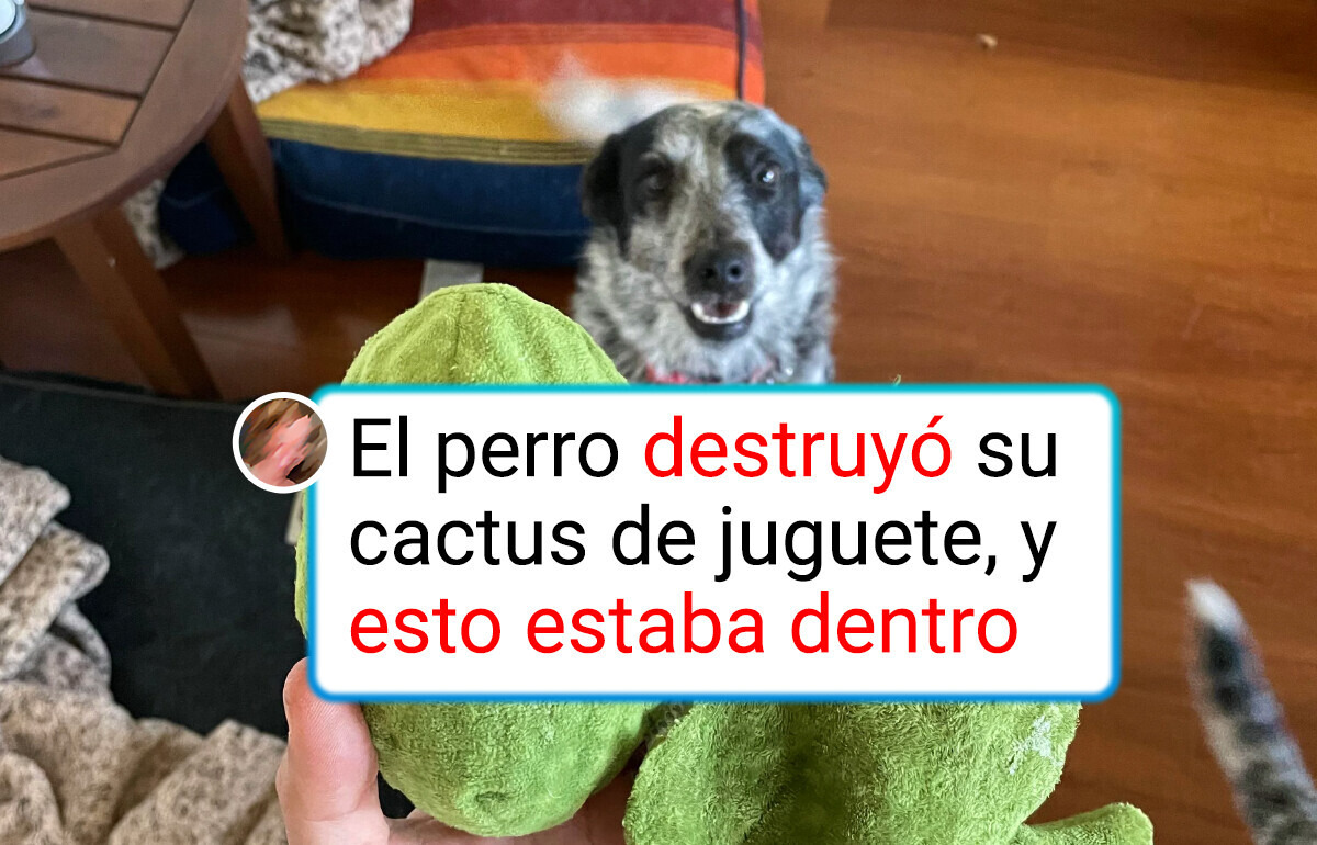 15 Creaciones de diseñadores que rompieron todos los esquemas