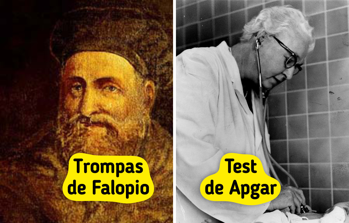 9 Médicos que se volvieron parte de tu cuerpo o tu salud (literalmente) 9 Médicos que se volvieron parte de tu cuerpo o tu salud (literalmente)