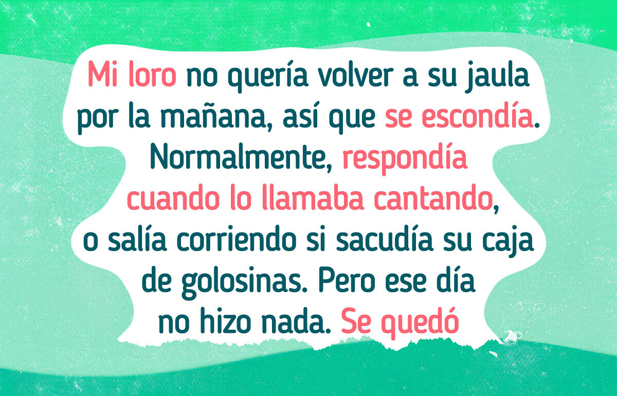 20+ Historias que prueban que las mascotas son genios malvados en secreto