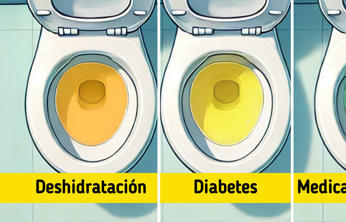 5+ Señales alarmantes sobre el color de tu orina que no deberías ignorar