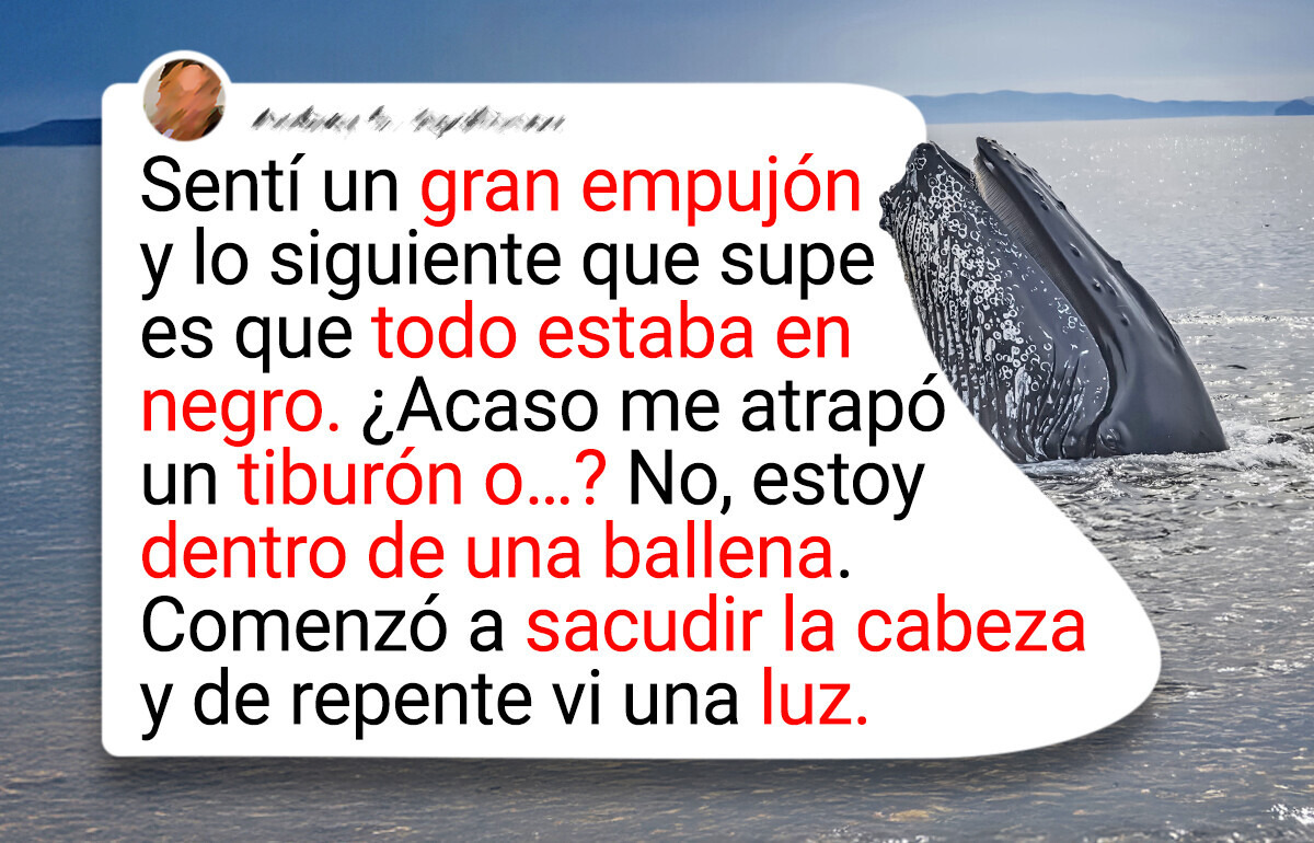 Un buzo fue tragado por una ballena mientras cazaba langostas