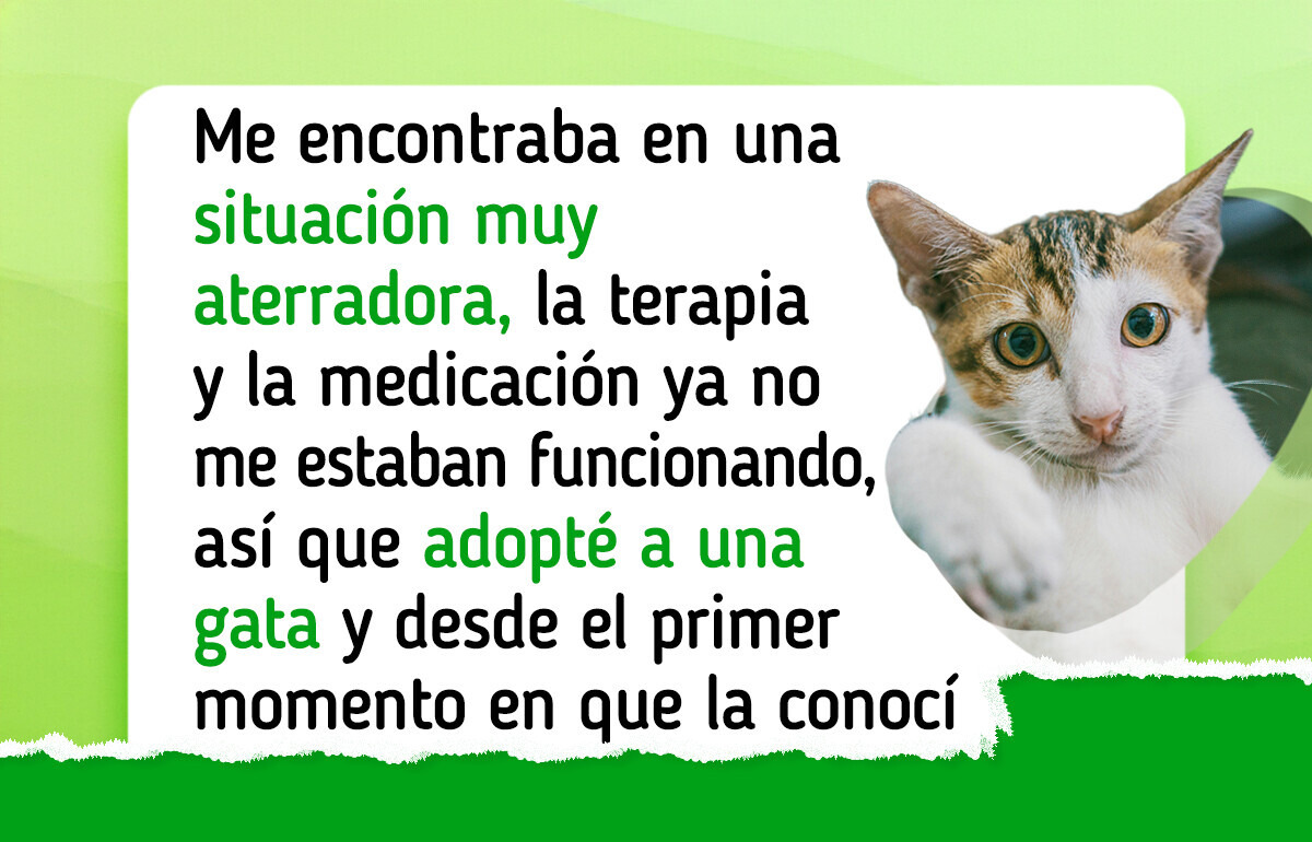 7 Animales de apoyo que se convirtieron en los ángeles guardianes de sus dueños