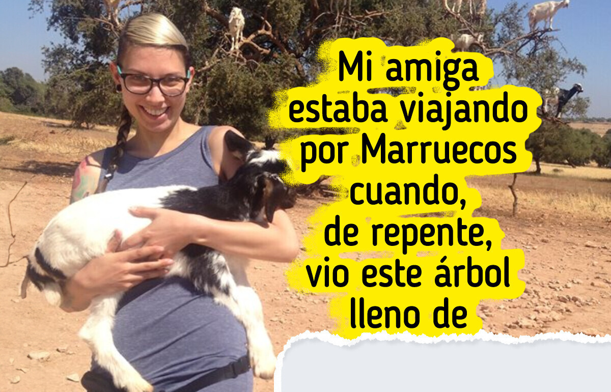 21 Turistas que solo querían viajar pero lo que encontraron los dejó patas para arriba