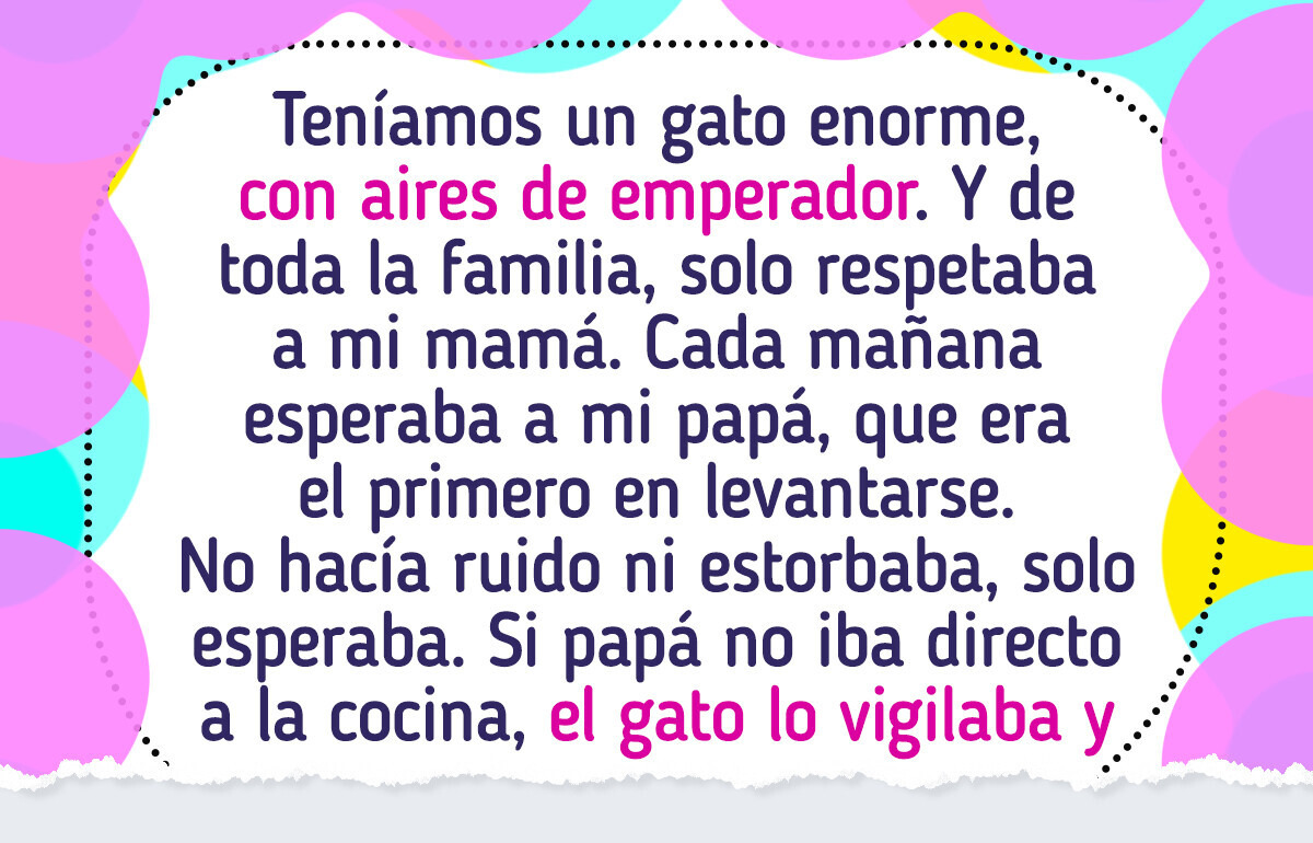 19 Mascotas que son puro caos adorable (y sus humanos tienen las fotos para probarlo)