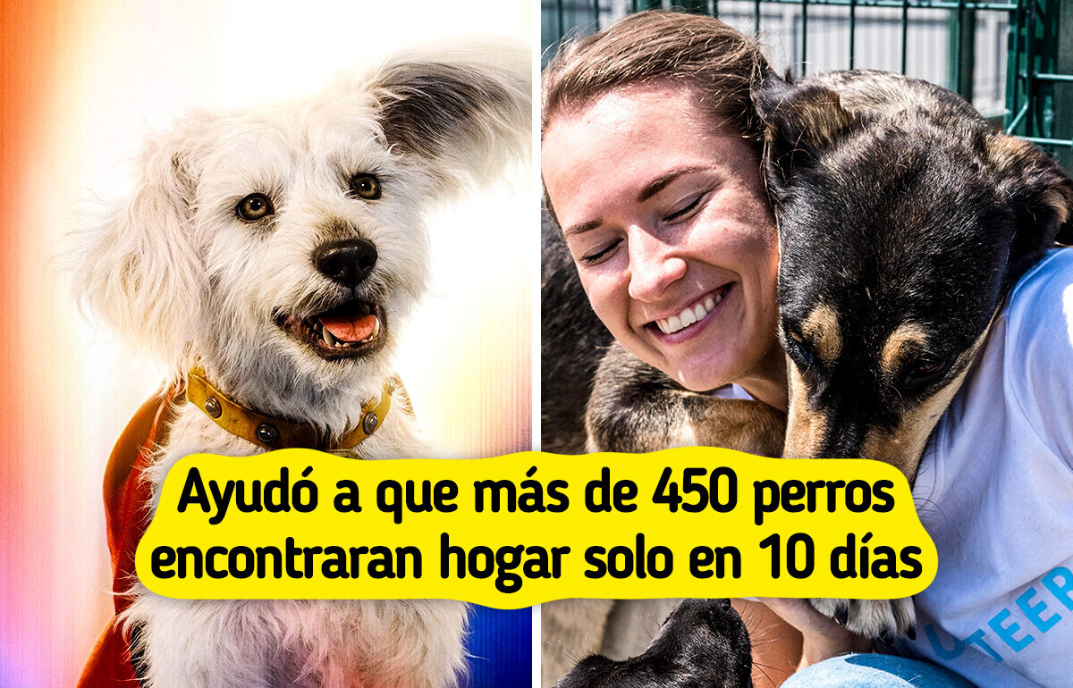 La conmovedora historia del perro actor de Superman que ayuda a salvar a perritos sin hogar La conmovedora historia del perro actor de Superman que ayuda a salvar a perritos sin hogar
