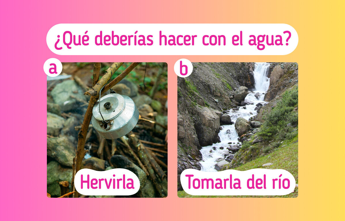 ¡Perdidos en la jungla!: Responde 11 preguntas y descubre si sobrevivirías en la salvaje naturaleza