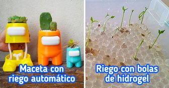 8 Alternativas para mantener las plantas húmedas, incluso cuando no estás en casa