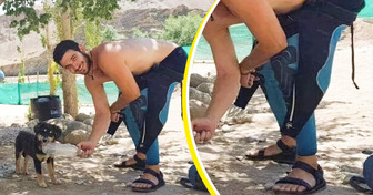30 Fotos que engañan al ojo y hacen reír al alma