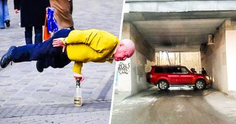 20+ Fotos que muestran la esencia de lo absurdo