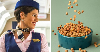 Aerolínea asombra a pasajeros al ofrecer comida de perro durante el vuelo