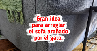 15 Cosas que parecían basura hasta que alguien les dio otra oportunidad