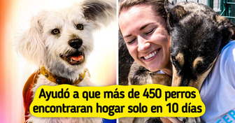La conmovedora historia del perro actor de Superman que ayuda a salvar a perritos sin hogar