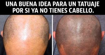 25 Personas que le dieron soluciones bastante graciosas a los problemas de la vida