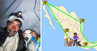 Ha rescatado a 500 perros abandonados y les ha conseguido un nuevo hogar mientras recorre México en su triciclo