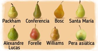 11 Tipos de peras diferentes que puedes encontrar en el súper