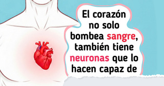 El corazón también piensa y ahora la ciencia lo confirma