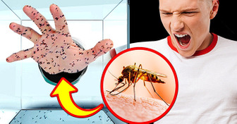 ¿Qué le pasaría a tu cuerpo si te picaran 1000 mosquitos?