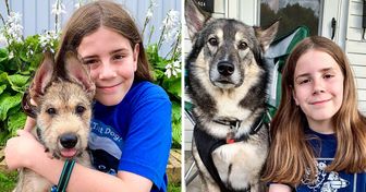 Niño de 11 años relata las historias de los perros que se encuentra en la calle, demostrando que todos los canes poseen una “perro-nalidad” única