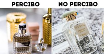 Cómo saber en un solo día si un perfume no te queda bien para aprender a elegir una fragancia ideal