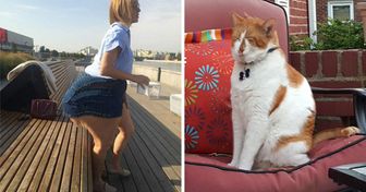20 Fotos panorámicas que salieron tan mal que no podemos dejar de sonreír
