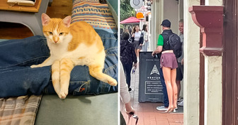 15 Imágenes confusas que demuestran que la perspectiva lo es todo