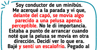 12 Anécdotas divertidas que solo podrían ocurrir en un autobús