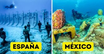 8 Fascinantes museos subacuáticos en el mundo