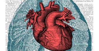 12 Datos sorprendentes del corazón humano que ni te imaginabas