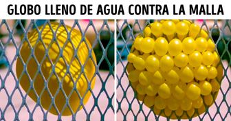 19 Curiosidades que serán una completa sorpresa para mucha gente