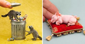Artista crea miniesculturas realistas de animales reflejando sus movimientos espontáneos