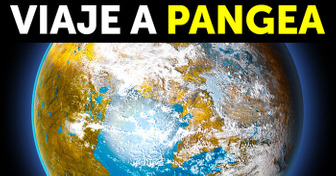 Cómo sería nuestra vida si Pangea nunca se hubiera dividido