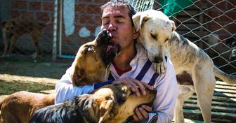 Un ingeniero boliviano renunció a su prometedora carrera por su pasión, dar de comer a los perros callejeros
