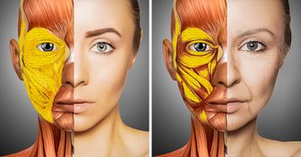 Cómo cambia nuestro cuerpo después de los 30 años y por qué el rostro envejece con mayor rapidez
