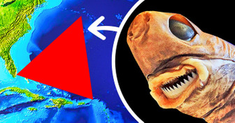 Encontraron al monstruo del triángulo de las Bermudas haciendo agujeros en submarinos