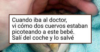 20 Pequeñas criaturas que acaban de llegar a este mundo y ya han logrado conquistarlo