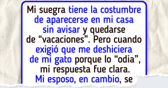 Mi suegra me dio un ultimátum y su maleta está en la puerta: O se va tu gato, o yo