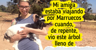 21 Turistas que solo querían viajar pero lo que encontraron los dejó patas para arriba