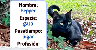 Pepper: el gato que sin querer terminó ayudando más a la ciencia que muchos humanos