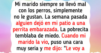 10 Pequeñas historias en las que la amabilidad le salvó el día a alguien (humano o animal)