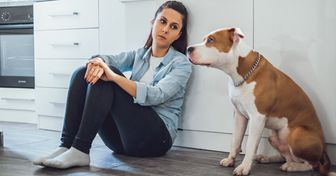 Según un estudio, los dueños les contagian el estrés a sus mascotas