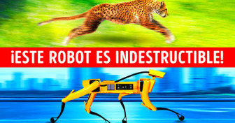 10 Asombrosos robots que realmente existen y están inspirados en animales