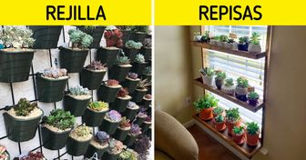 15 Jardines de suculentas que puedes hacer en casa (sin importar cuánto espacio tengas)