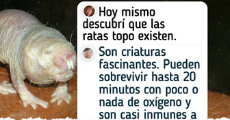 10 Animales de aspecto extraño que son inofensivos para las personas